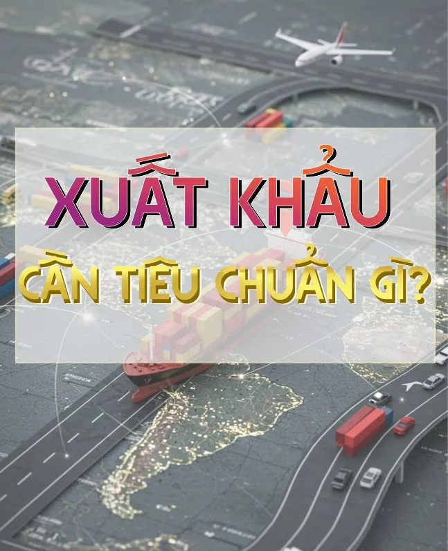 Xuất khẩu ngành may mặc cần đáp ứng tiêu chuẩn quốc tế gì?